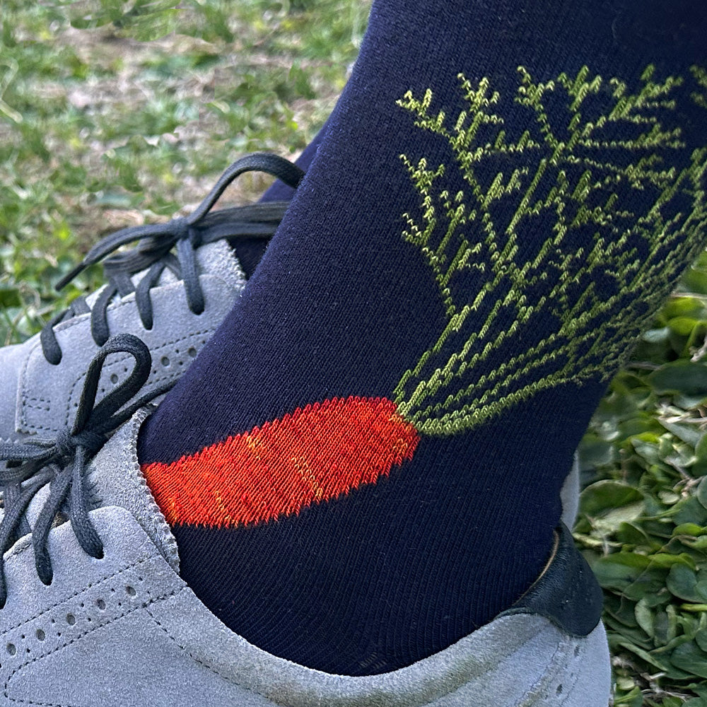 Made in USA men's navy cotton vegetable socks featuring a carrot and beet by THIS NIGHT