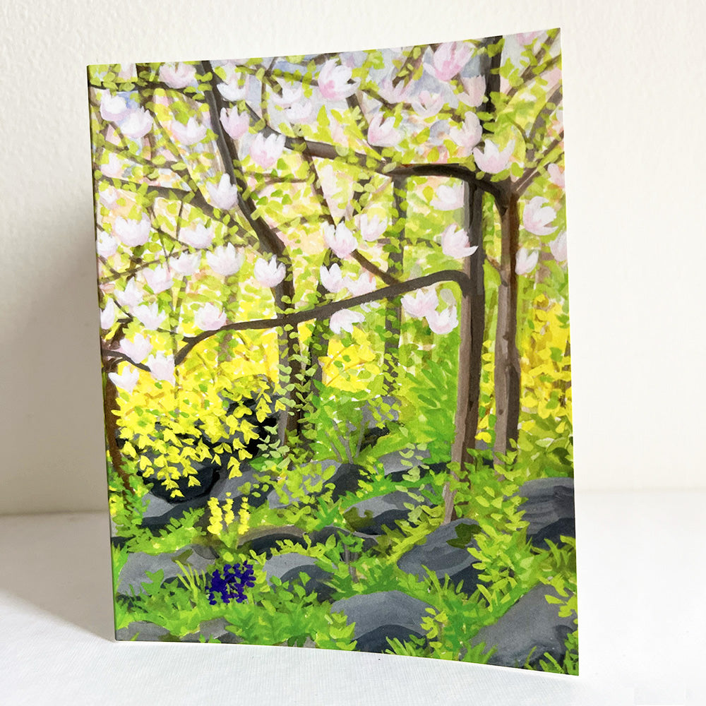 Spring magnolias and forsythia at Fort Tryon Park, painted in gouache by Kate T. Williamson