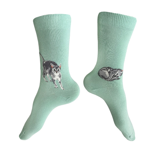Made in USA women's aqua/seafoam cotton socks with grey cats by THIS NIGHT