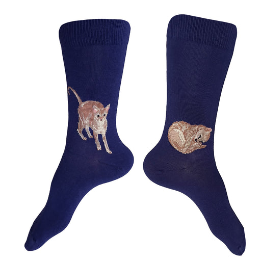 Made in USA women's blue cotton socks with orange tabby cat by THIS NIGHT