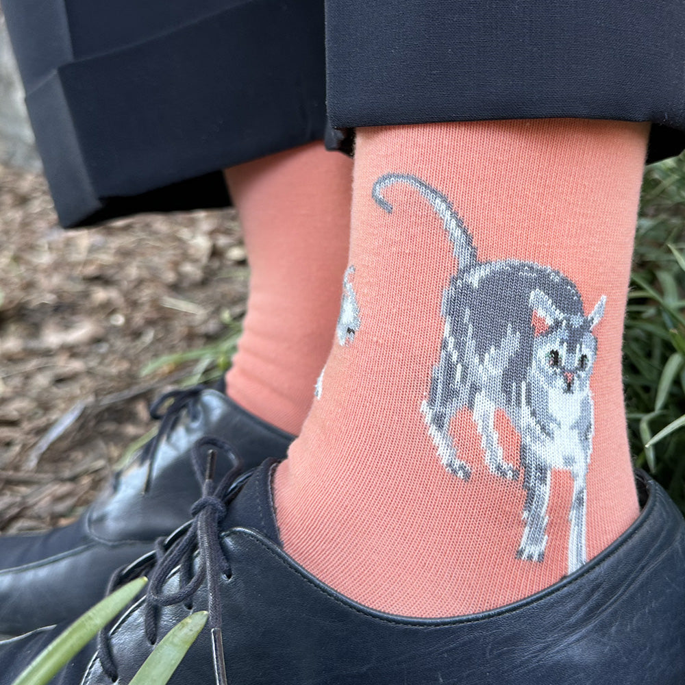 Made in USA women's salmon cotton cat socks with sleeping and playing gray kittens by THIS NIGHT