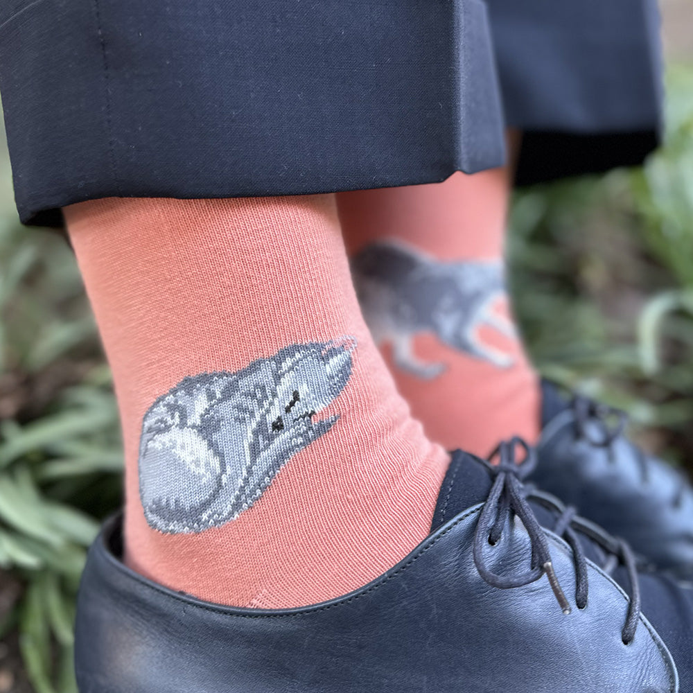 Made in USA women's salmon cotton cat socks with sleeping and playing gray kittens by THIS NIGHT