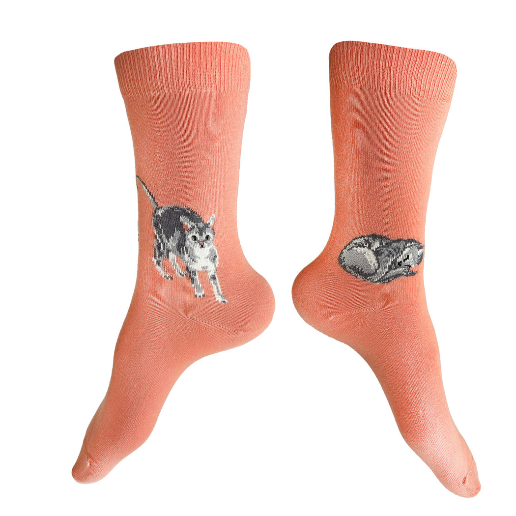 Made in USA women's salmon cotton cat socks with sleeping and playing gray kittens by THIS NIGHT