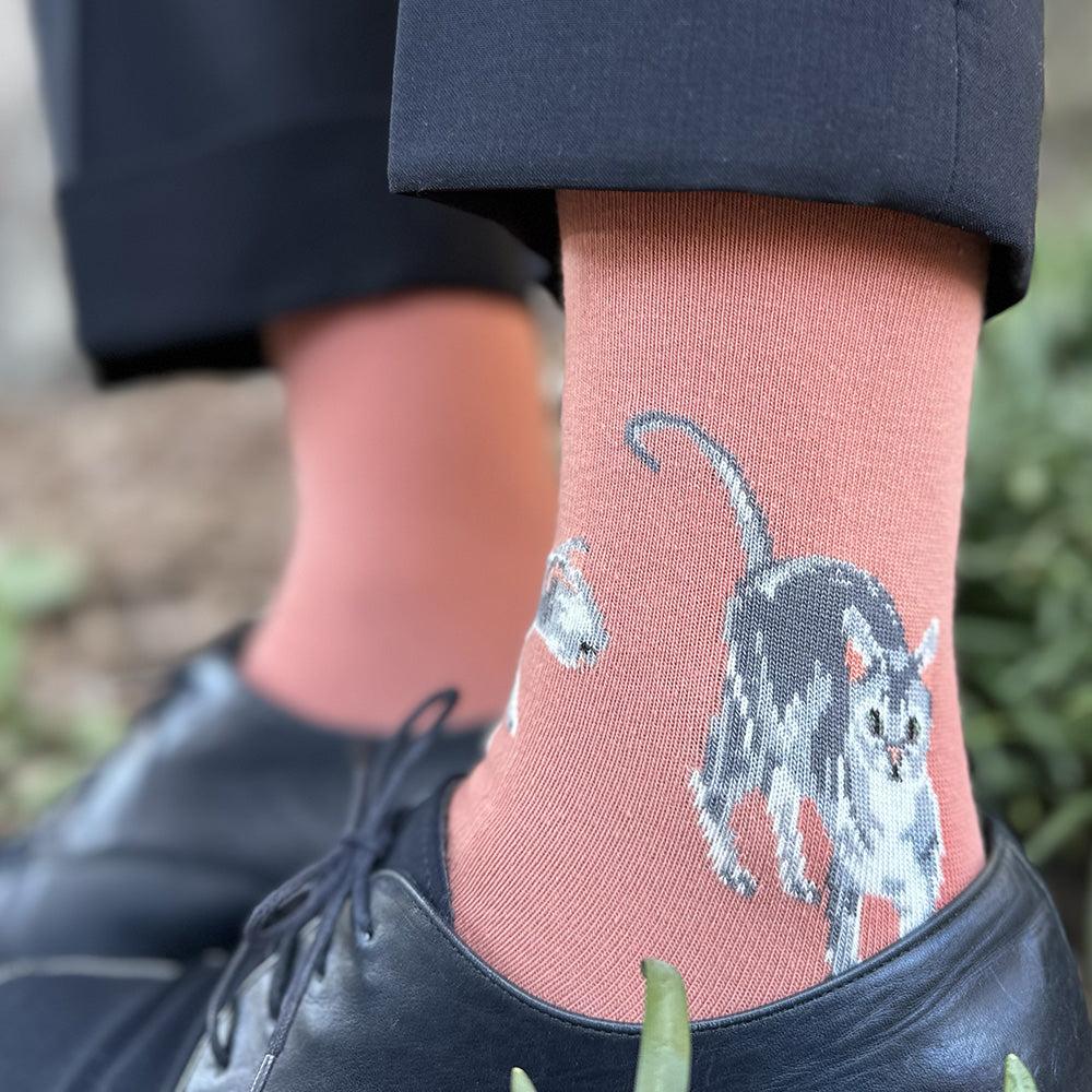 Sweet women's cotton grey cat socks (two cats playing on one sock and another taking a nap on the other sock) on a terracotta (salmon) background by THIS NIGHT and made in USA