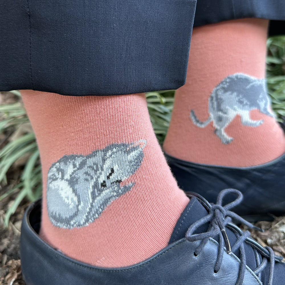 Sweet women's cotton grey cat socks (two cats playing on one sock and another taking a nap on the other sock) on a terracotta (salmon) background by THIS NIGHT and made in USA