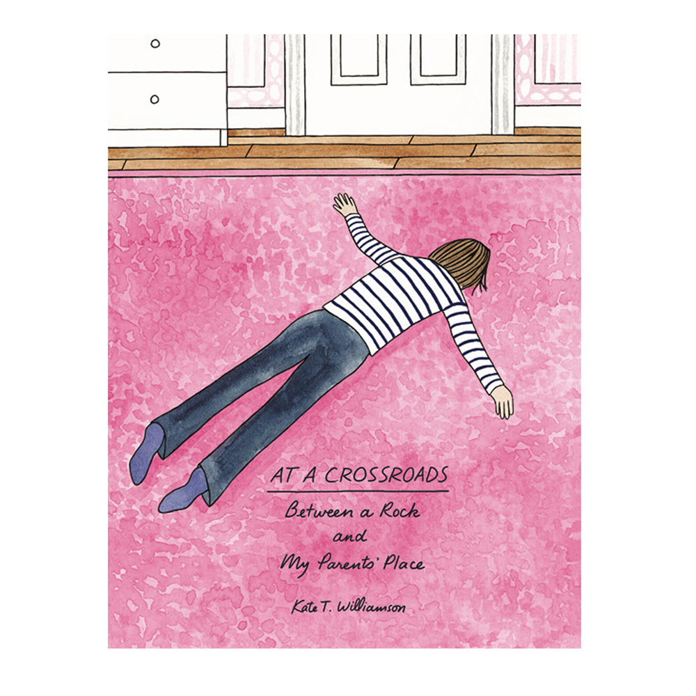 AT A CROSSROADS, a book written and illustrated by Kate T. Williamson
