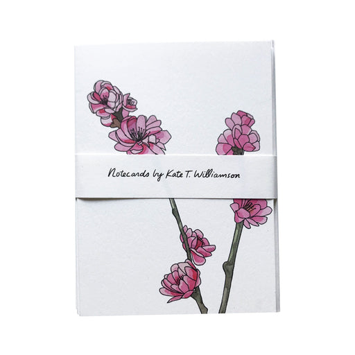 MADE IN USA Flowering Branch Botanical Note Cards by Kate T. Williamson with peach blossoms (momo)