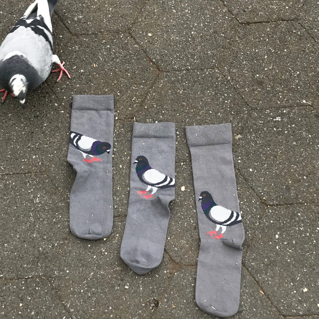 MADE IN USA grey cotton Pigeon socks by THIS NIGHT + NYC pigeons in Washington Square Park