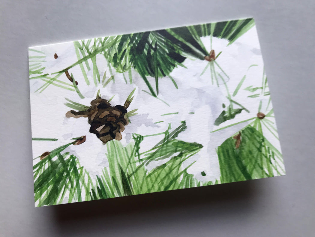 Pine Tree Note Cards by Kate T. Williamson