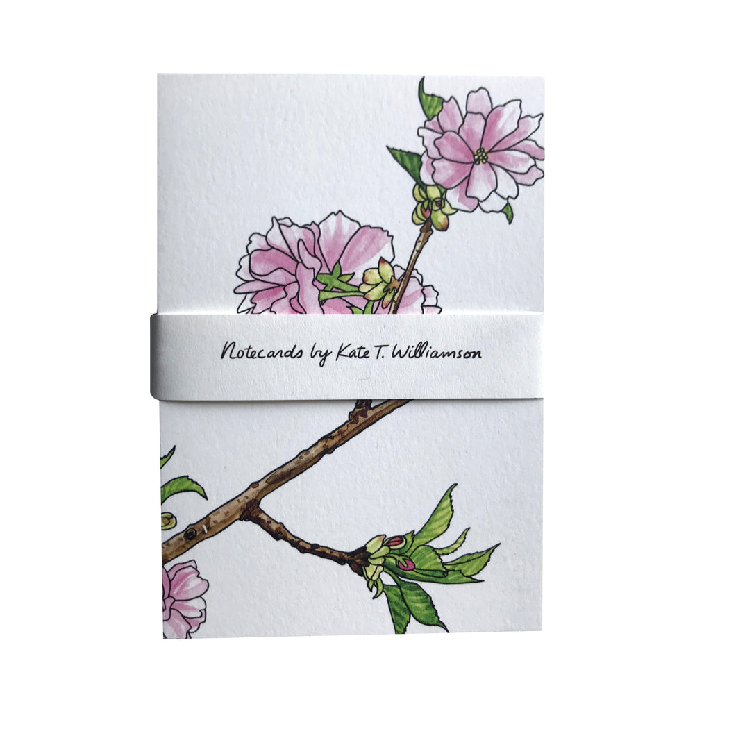 MADE IN USA Cherry Blossom (Sakura) Note Cards by Kate T. Williamson