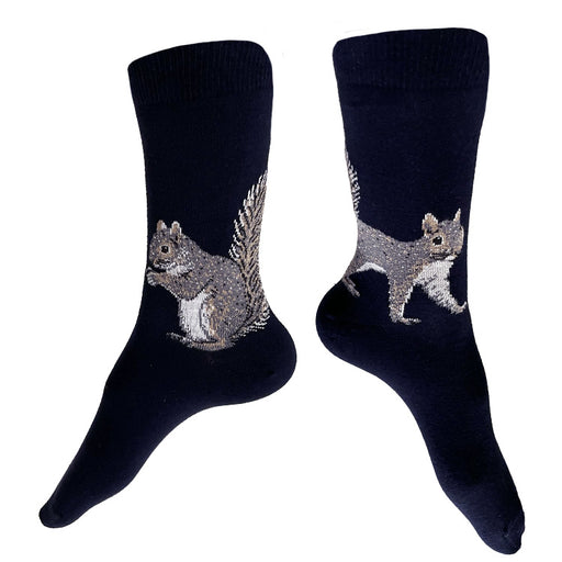 Made in USA women's squirrel socks in navy cotton by THIS NIGHT