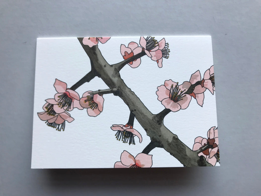 MADE IN USA Flowering Branch Botanical Note Cards by Kate T. Williamson with plum blossoms (ume))